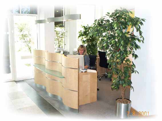 Empfang-Vogelaugenahorn